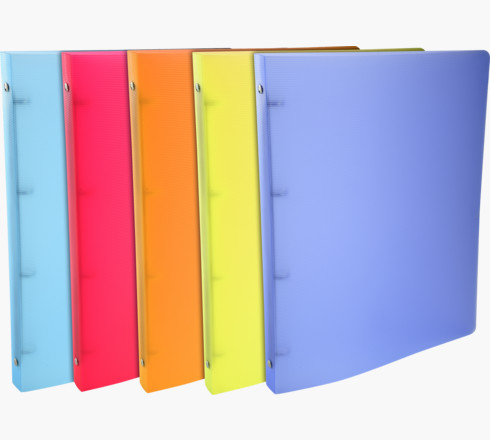 Ringmap EXACOMPTA, A4 | Linicolor