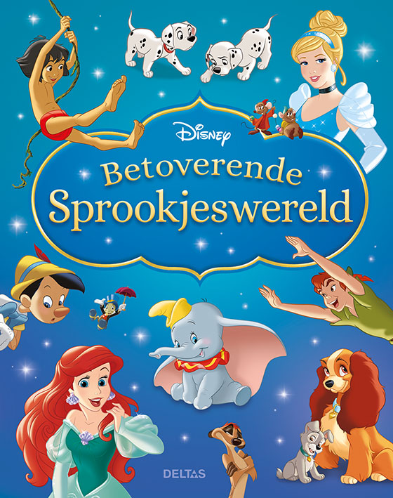 Boek DELTAS Betoverende Sprookjeswereld, leesboek