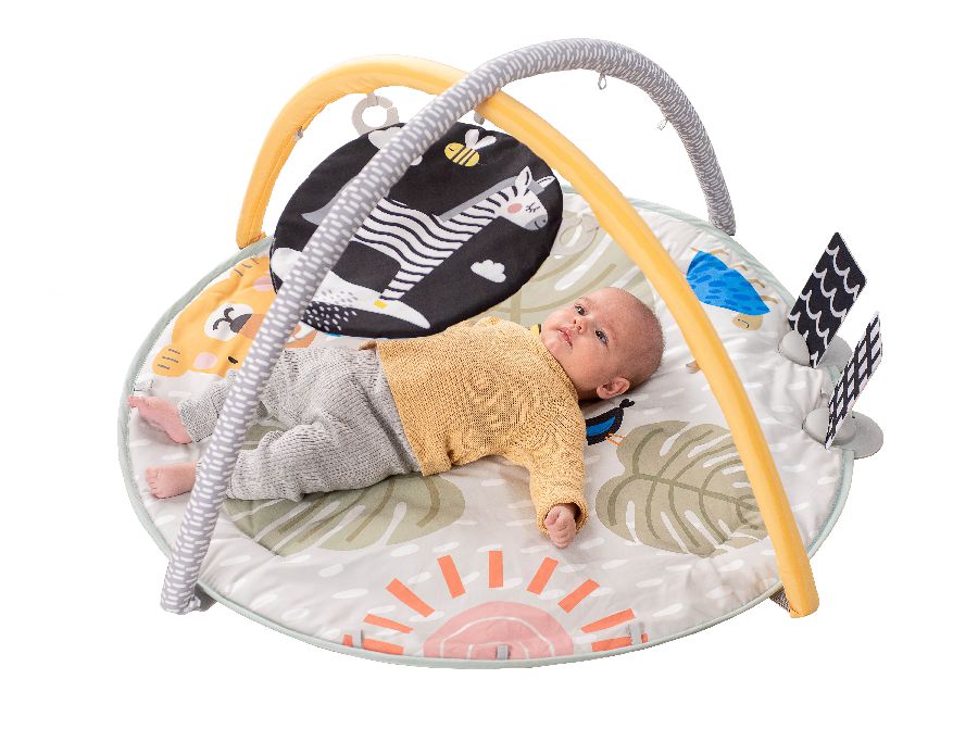 Speeltapijt met speelboog Taf Toys 360 Activity Gym | Savannah Adventures