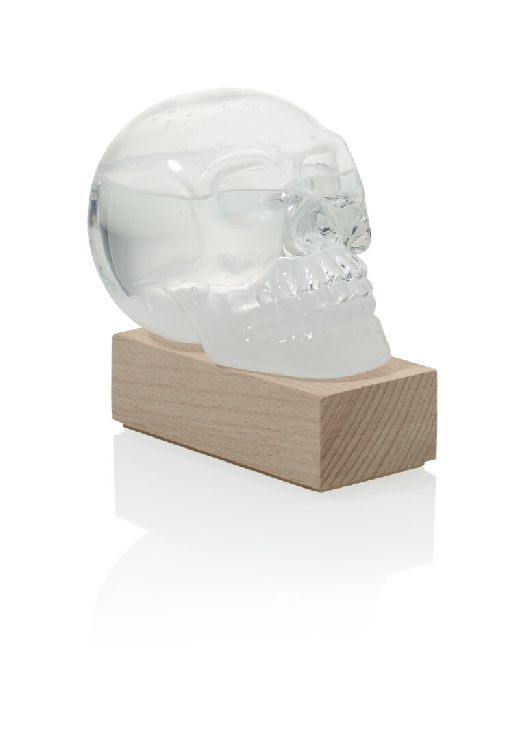 Barometer Bitten Skull Storm glass Weather Predictor