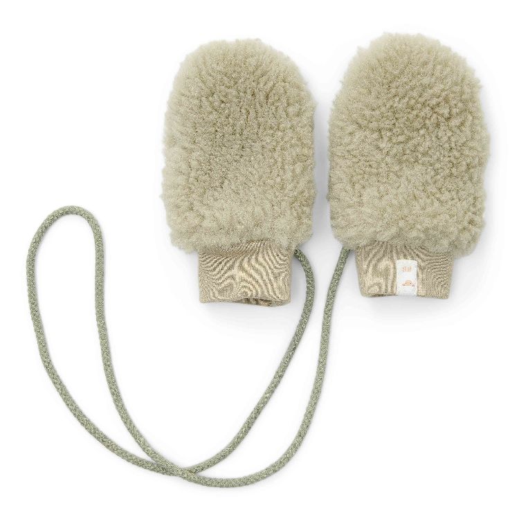 Wanten Little Dutch | Teddy