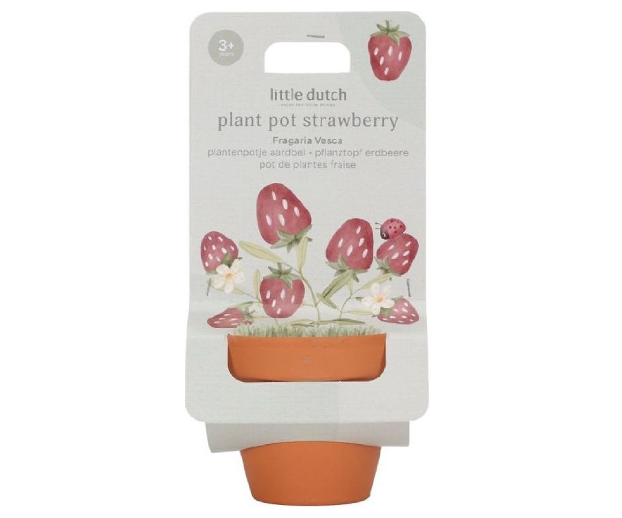 Tuinieren Little Dutch made by Tiamo Plantenpotje Aardbei