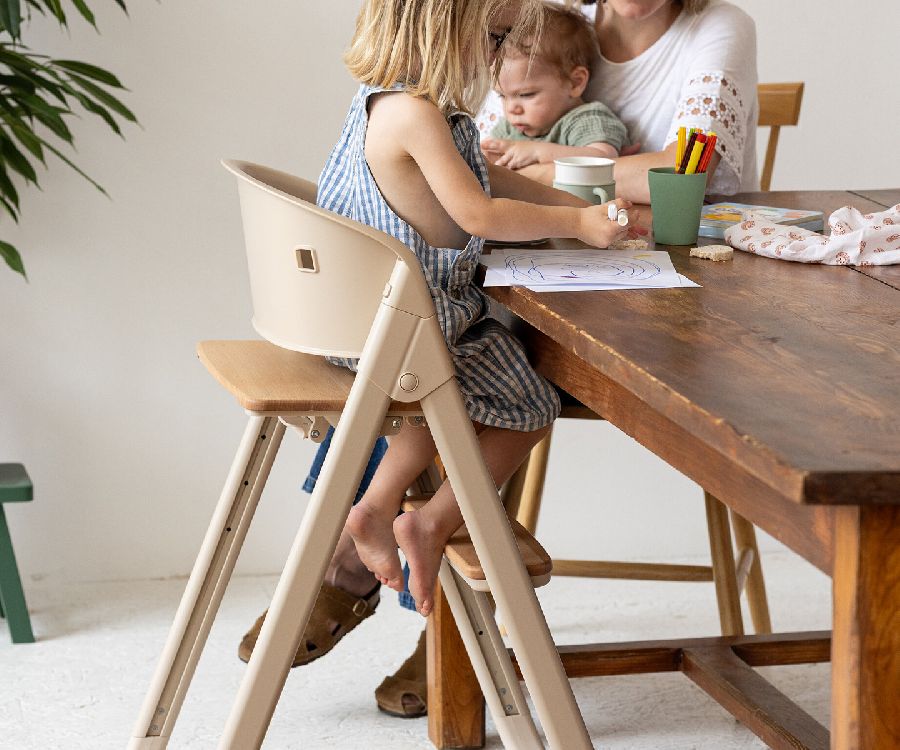 Eetstoel Beaba Evoclick 5-in-1
